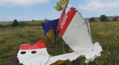 The Netherlands did not find Ukrainian fighters in the skies over the Donbas during the MH17 crash