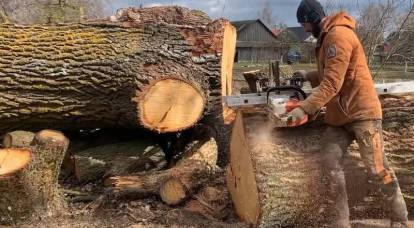 Daily Mail: британцы переходят на дрова ради экономии