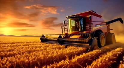 صفقة القرن: هل ستستفيد روسيا من إمدادات الحبوب القياسية للصين؟