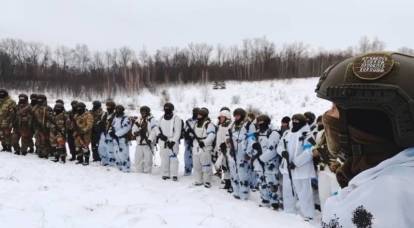 In the Zaporozhye region, the formation of a people's militia has begun