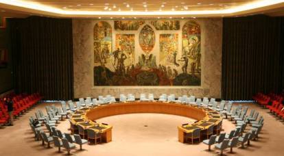 Who wants to reform the UN Security Council and why?