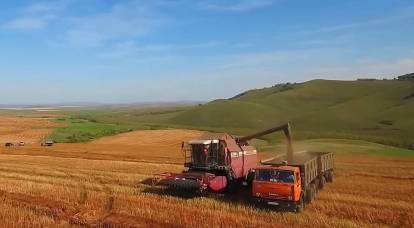 Russia once again broke the record for grain harvest