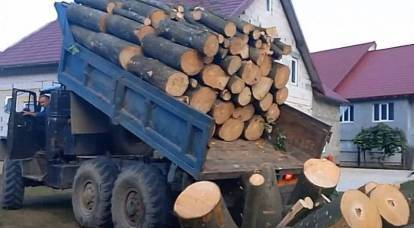 ООН при поддержке Румынии оказывает Молдавии гуманитарную помощь дровами