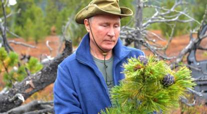 Чем может обернуться попытка Путина спасти российский лес от истребления