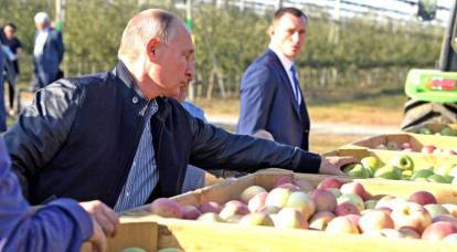 "Tomato Wars" - All That Russia Is Capable Of In The Caucasus?