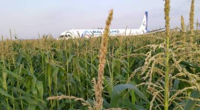 Avión de pasajeros ruso abordó un campo de maíz en la región de Moscú