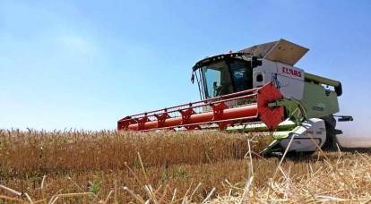 Битка за жетву: „наставак“ житног посла и други изгледи за украјинску пољопривреду