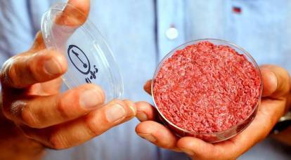 Artificial meat: the US will feed them the whole world instead of Russia