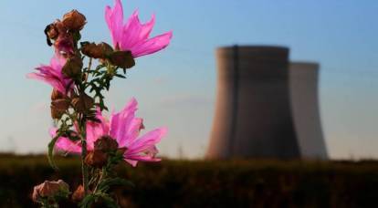 Polen erklärte, warum es unmöglich sei, in das baltische Kernkraftwerk zu investieren