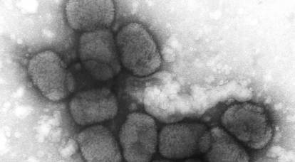 Pentru a înlocui covid: variola maimuță „plimbă” în jurul planetei