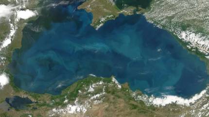 Чёрное море стало зоной риска: Украина теряет порты, экспорт и страховку