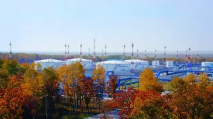 Экономист предостерег Минфин от ошибок в предвкушении сверхдоходов от продажи нефти