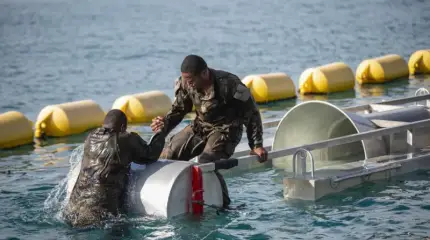 Франция готовится воевать с США за Гренландию