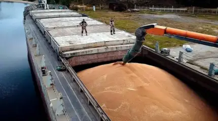 Экономист объяснил причины снижения экспорта российской пшеницы