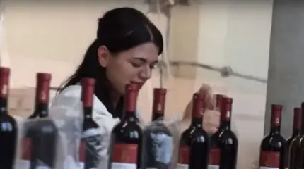 «Бан» Пашиняну: алкогольная продукция из Армении сильно ухудшилась – Роспотребнадзор