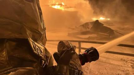 «Страну просто уничтожают»: в Киеве обвинили Зеленского в срыве переговоров