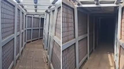 Русские отобрали у украинцев качественные окопы, построенные на западные деньги – Рёпке