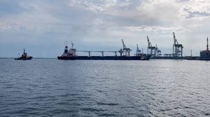 На Украине придумали обходной маршрут для вывоза зерна из Одессы