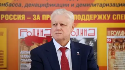Миронов призвал объявить бесполетную зону над Черным морем