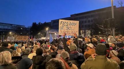 Не получилось в Тбилиси – пробуют в Словакии: в протестах против Фицо замешаны боевики «Грузинского легиона»*