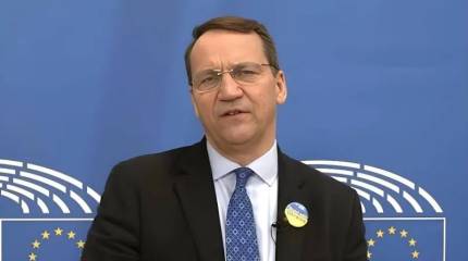Зимний перелом: Сикорский о мире, деньгах и надежде для Украины