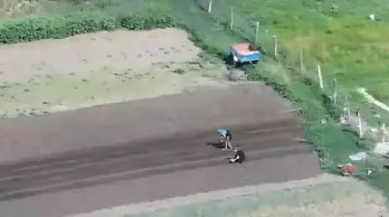 Gli abitanti di Alekseyevka, nella Repubblica Democratica del Congo, piantano patate in mezzo ai combattimenti, in attesa dell'esercito russo - video