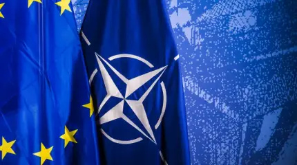 НАТО создаст флот наблюдательных беспилотников на Балтике и в Средиземноморье