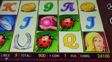 «Деньги стране нужны, но не любой ценой» – аналитик про идею об онлайн-казино в РФ