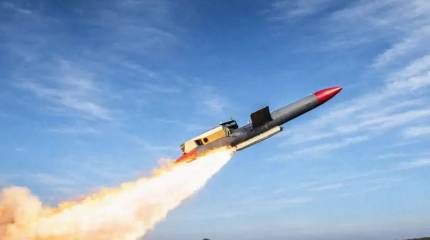 «Совершенно другой уровень угрозы»: в России зря недооценивают ракеты «Фламинго»