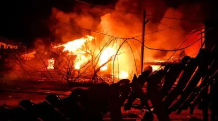 The Geraniums have opened a hunt for hunters, they hit in pairs