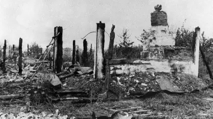 Nazi Crimes: The Horrible Story of the Koryukovskaya Tragedy