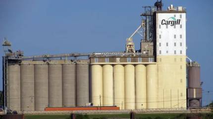 Украина, «кормилица» всего мира, лишилась экспорта продовольствия – Reuters