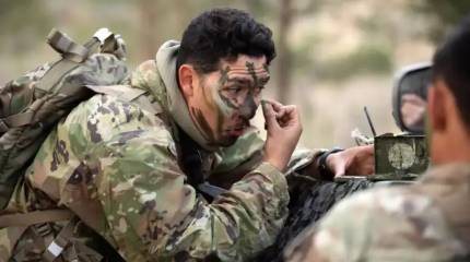 В скором времени ВС РФ на Украине будут воевать только с иностранцами