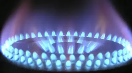 «Солнце и ветер тоже не бесплатны»: немцы о повышении цен на газ и электричество