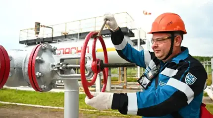 В Госдуме назвали сроки окончания топливного кризиса в стране