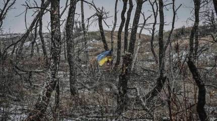 Послание миру: заграждения, которые удерживали государства от войн, разрушены