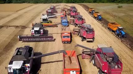 Рыночек порешает: может ли Россия начать закупать пшеницу за рубежом?