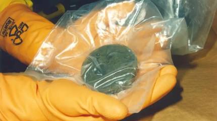 Россия ответила на стремление США нарушить мировую ядерную стабильность