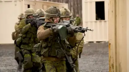«Поднимите руки и медленно отступайте»: канадских военных учат правильно сдаваться гусям