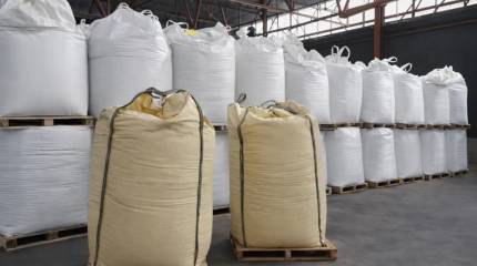 «Москва уже предложила»: Германия может снова повернуться лицом к России