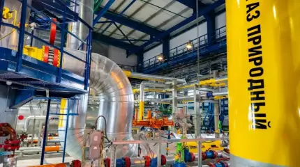 Венгрия и Словакия могут отказаться от энергоносителей из России