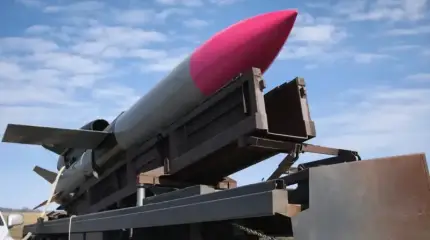 «Фламинго» больше боятся на Западе, чем в России – СМИ