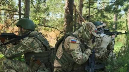 Показаны кадры конвоирования группы пленных боевиков на Покровском направлении