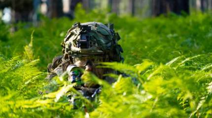 На Украине предложили раздавать наемникам землю в регионах России