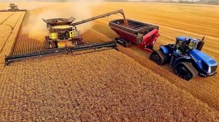 Россия и Китай заключили крупнейшую зерновую сделку на $25,7 млрд