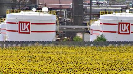 Болгария останавливает экспорт нефтепродуктов в ЕС из-за американских санкций