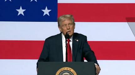«Ты что, бумажный тигр?»: Трамп рассказал о беседе с Путиным