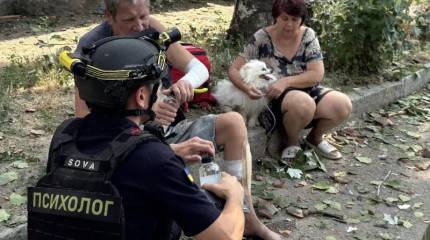 «Украинская власть сама подставляет гражданские объекты под удары ВС РФ»
