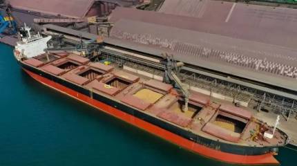 Пшеница бьет по карману: мир стоит на пороге нового продовольственного шока