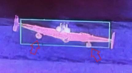 Geranios rusos convertidos en bombarderos